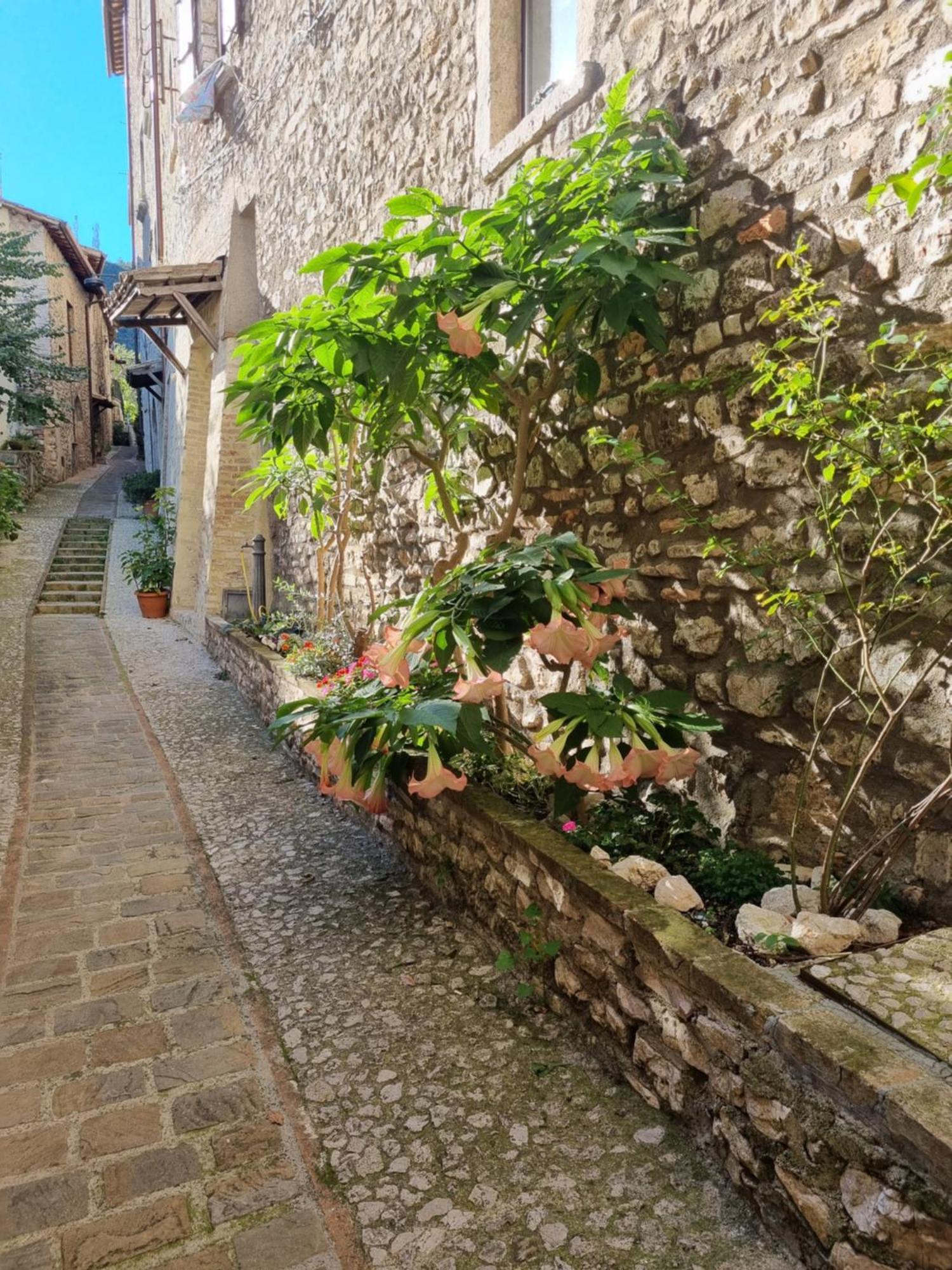 Cuore Del Castello Arrone Εξωτερικό φωτογραφία